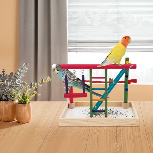 Papegøje Sving, Holdbart Design, Interaktiv Legeområde,Farvet