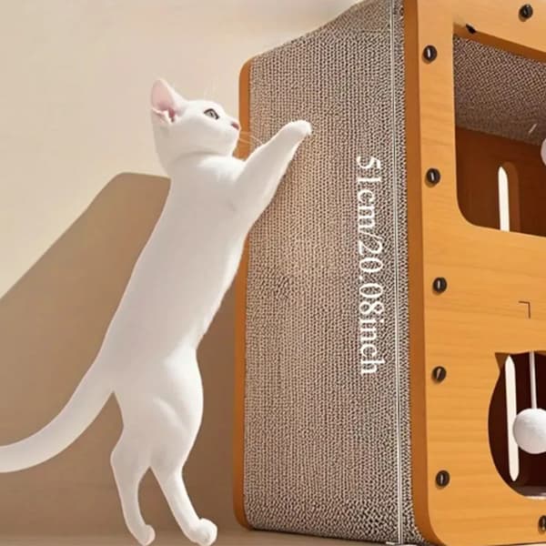 Kattehus, Multifunktionel Kradsebræt, Tre-lags Design,GUL