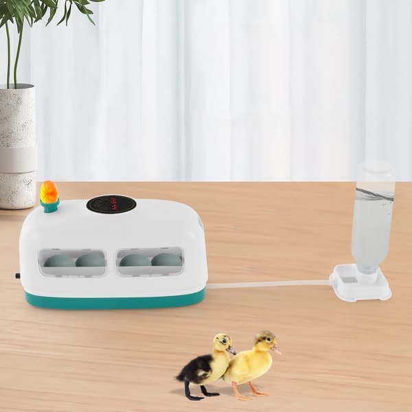 Ägginkubator, Digitala kontroller, Kompakt design,VIT