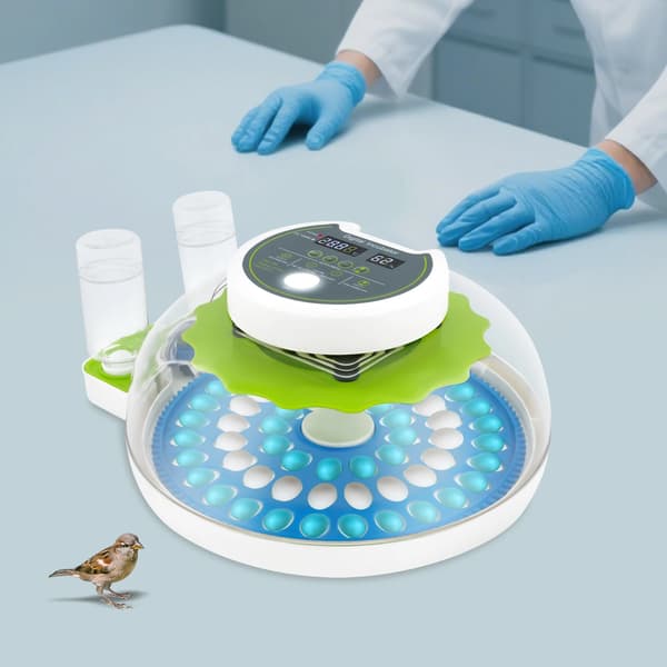 Inkubator, 60 Ägg Kapacitet, LED Digital Display,grön