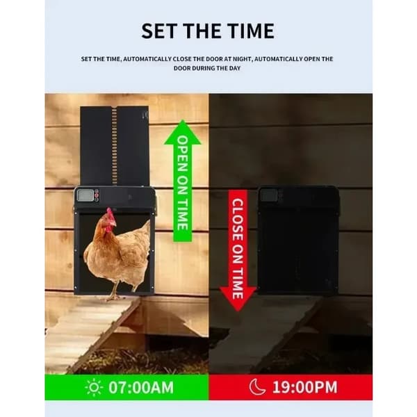 Fugleport, Intelligent Timer, Vandtæt Design,sort