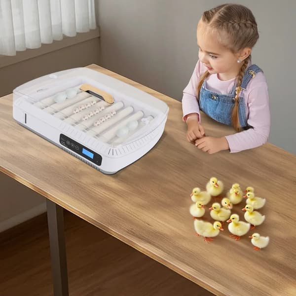 Ägginkubator, Helt Automatisk Kontroll, 35 Ägg Kapacitet,VIT