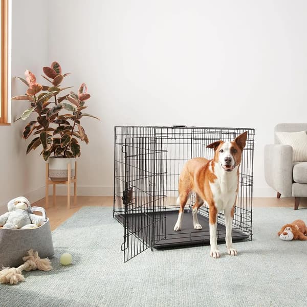 Hundbur, Fällbar, Dubbel Dörr,svart