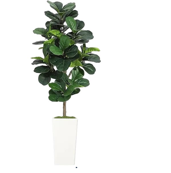 Fiddle Leaf Fig Träd, Realistisk Växtdesign, Inomhusdekoration,150cm