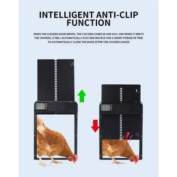 Fjäderfägrind, Intelligent Timer, Vattentålig Design,svart