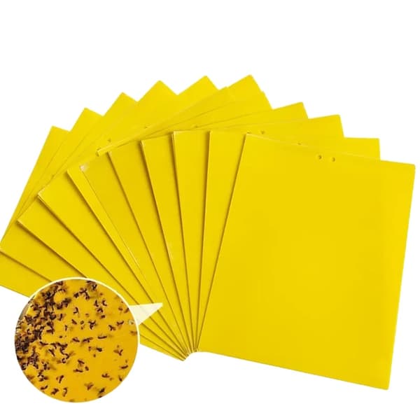 Hyönteisloukku, kaksipuolinen tarttuväri, tehokas tuholaistorjunta,40PCS