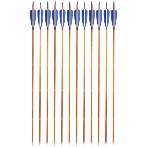 Kolfiberpilar, 500 Spine, 12-pack,2Blå1Vit