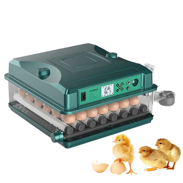 Ägginkubator, 5 Kläcklägen, Automatisk Temperaturkontroll,36 Ägg