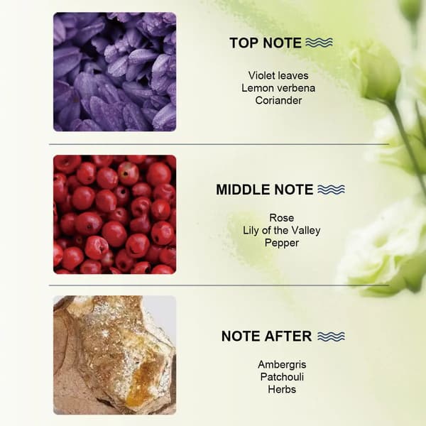 Parfume, Ambra & Patchouli, Langtidsholdbar Duft,sort