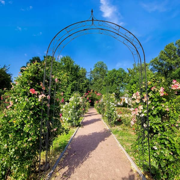 Trädgårdspergola, Metallbåge Design, Stöder Klättrande Växter,svart