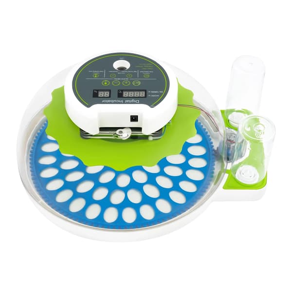 Inkubator, 60 Ägg Kapacitet, LED Digital Display,grön
