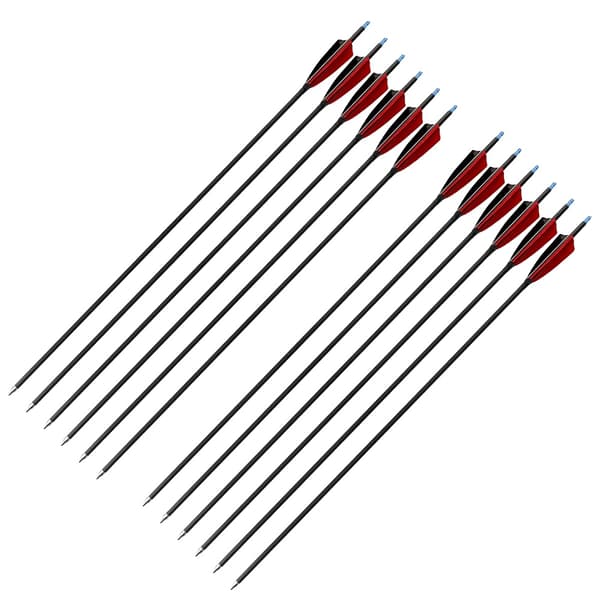 Jaktpilar, Kolfiber, 30 tum längd,12pcs
