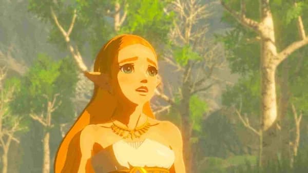 Spilpatron, Åben Verden Eventyr, Multi-Sprog Support,SWITCH Legenden om Zelda