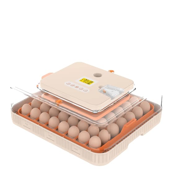 Ägginkubator, Automatisk Äggvändning, Digital Temperaturkontroll,56 ägg