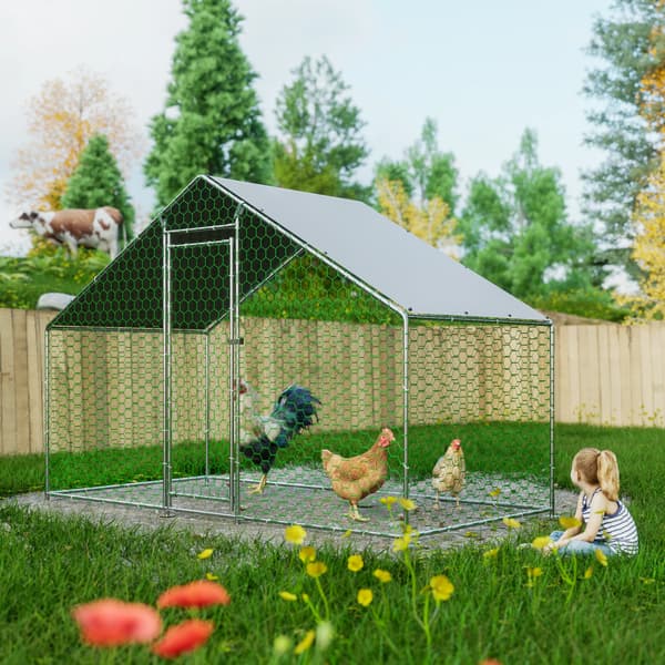 Hönshus, Väderbeständig, Låsbar Design,grön