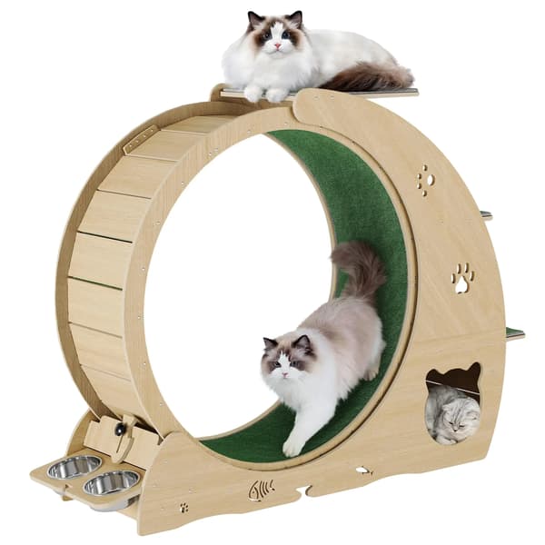 Kattträningshjul, Multifunktionell Design, Tyst Drift,Naturlig