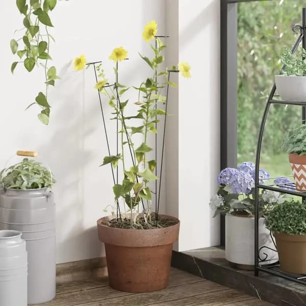 Plantepæl, Holdbart Stål, Støtter Klatreplanter,hær grøn