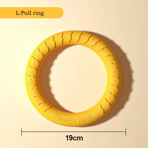 Hundleksaker, Interaktiv Ring, Dragboll,L Dragring
