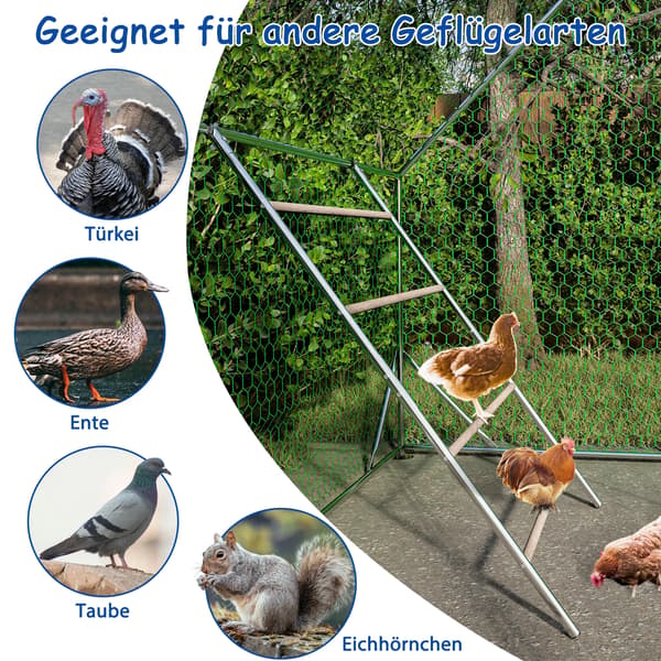 Kylling Perch, Holdbare Materialer, Nem Installation,A
