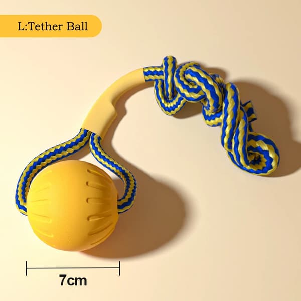 Hundleksaker, Interaktiv Ring, Dragboll,L Tetherboll