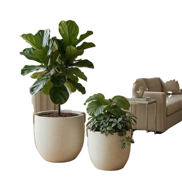 Bonsai Blomkruka, Storkapacitet, Modern Minimalistisk Design,VIT