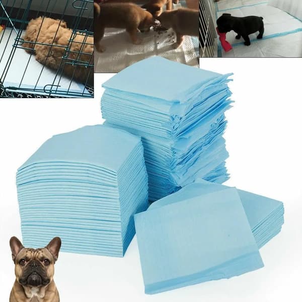 Hundbäddar, Superabsorberande, Hållbar Design,Blå