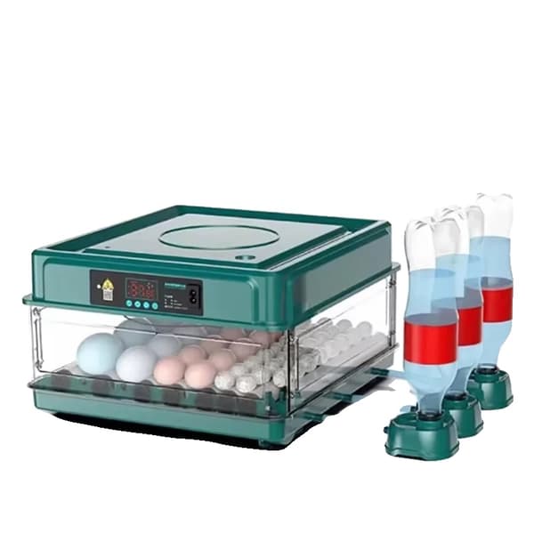 Ägginkubator, Automatisk Temperaturkontroll, Hög Kapacitet Design,36 Ägg