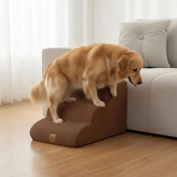 Hund Ramp, Skridsikker Overflade, Vaskbart Betræk,FXCTEOJ10DCUM0