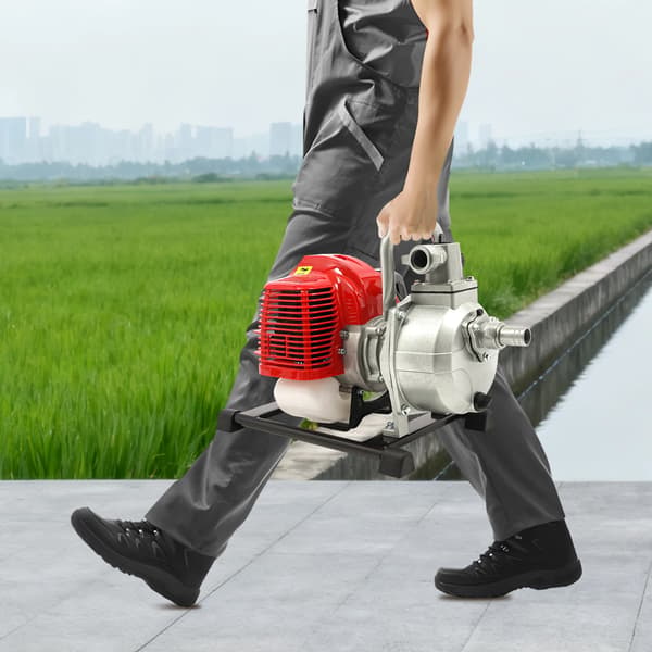 Dam Pumpe, Selv-Priming Motor, Nem Start,EU, sort, 220V