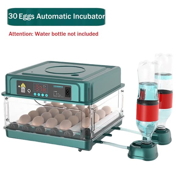 Ägginkubator, Automatisk Temperaturkontroll, Mångsidig Äggkapacitet,30 Ägg