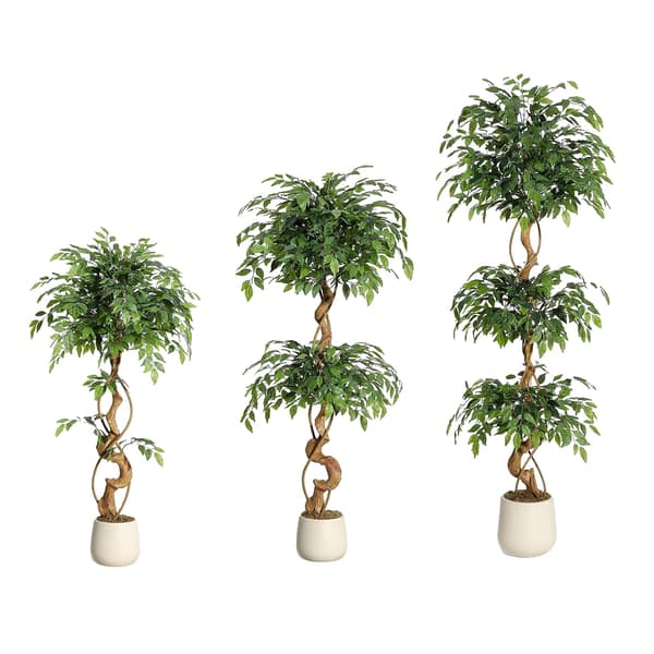 Kunstig Ficus Træ, Holdbart Design, Ingen Vedligeholdelse,150cm, Grøn-b