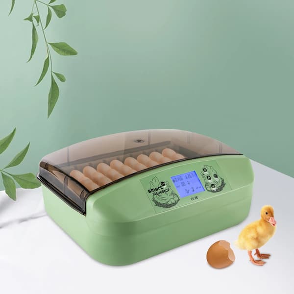 Automatisk Ägginkubator, 32 Ägg Kapacitet, Temperaturkontroll,grön
