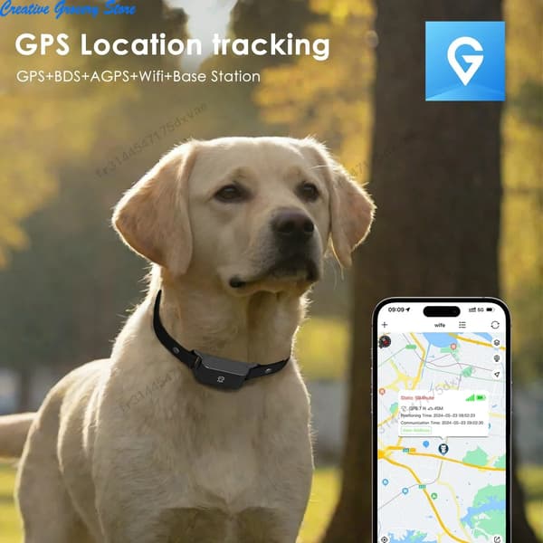 GPS kæledyrstracker, realtidsopsporing, vandtæt design,sort