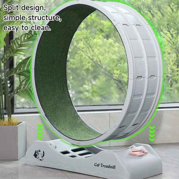 Kattträningshjul, Säker Design, Lätt Installation,grön