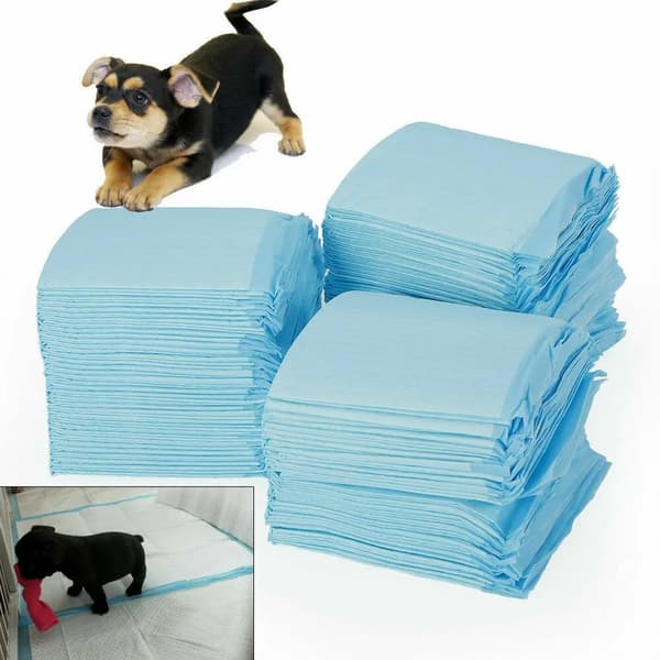Hundetræningsunderlag, 100 stk, Ikke-giftigt materiale,MULTI