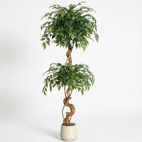 Fikus Träd, Naturalistisk Design, Lätt Underhåll,5FT