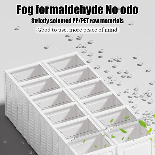 Skoförvaringslåda, Fällbar Design, Rymmer 12 Par,vit färg