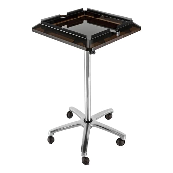 Hårtilbehør Holder Vogn, Justerbar Højde, Mobil Design,Sølv og Sort