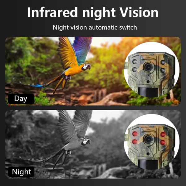 Jagtkamera, 4G-forbindelse, nattevisionsfunktion,Lys Grå