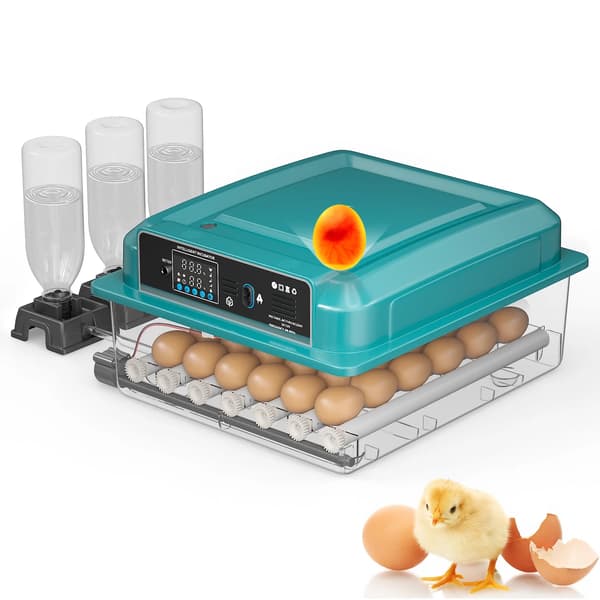 Ägginkubator, Automatisk Temperaturkontroll, Lätt Att Installera,36 ägg