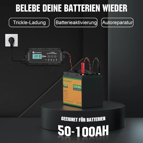 Batterioplader, 12V Udgang, 10A Strøm,sort