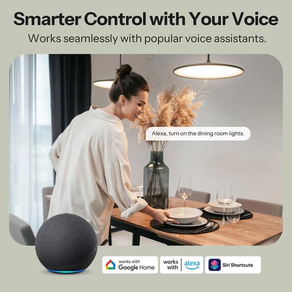 Smart Switch, Dubbelbelastningskontroll, Röstassistentkompatibilitet,MINI-2GS