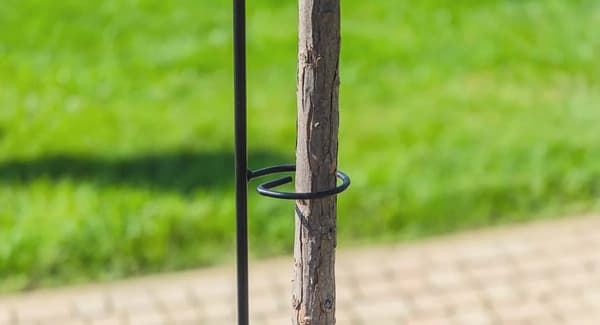 Växtstöd, Metallkonstruktion, 150 cm Höjd, Stöder Klätterväxter, Elegant Design, Förhindrar Växtskador
