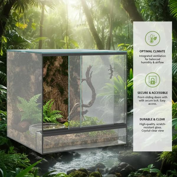 Terrarium, Glasbyggnad, Mångsidig Användning,Transparent