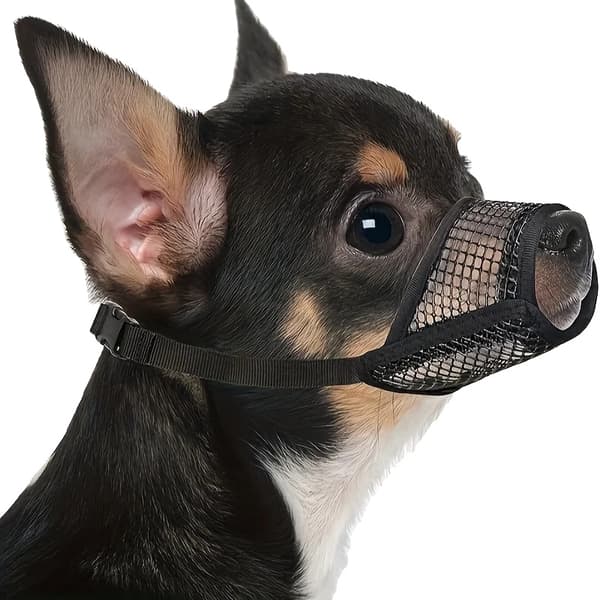 Mesh Snude, Designet til Korthalede Hunde, Behagelig og Åndbar,S, sort