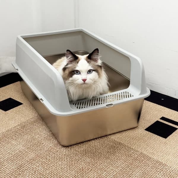 Kattlåda, högsidesdesign, lätt att rengöra,Ljusgrå
