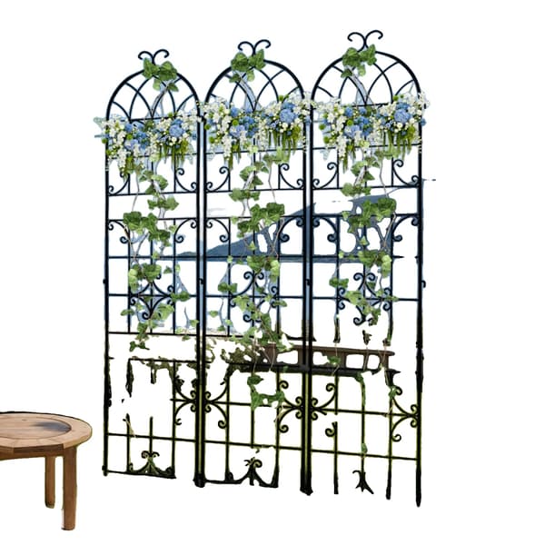 Trellis, Rustik Jernbue Design, Holdbar Støtte til Klatreplanter,sort
