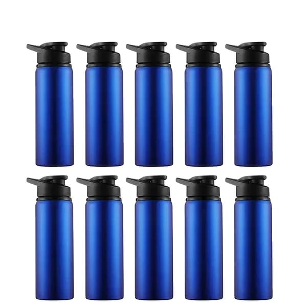 Vandflaske, Holdbart Rustfrit Stål, Ideel til Udendørs Aktiviteter,600ml-c, Blå 10stk