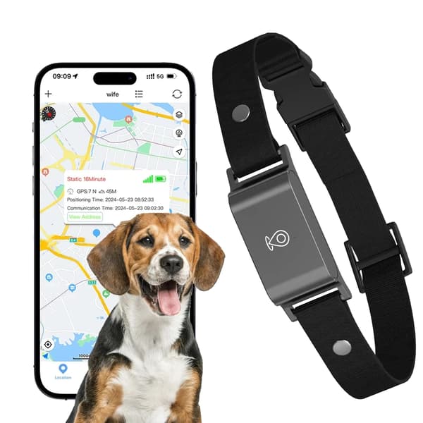 GPS kæledyrstracker, realtidsopsporing, vandtæt design,sort