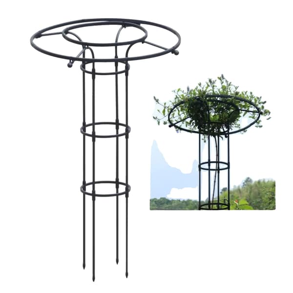 Trädgårdsgaller, Metallram, Vertikalt Växtstöd,120cm